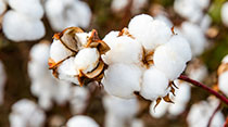 Ningbo Beyond Home Textile Group Co., Ltd.