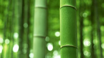 Ningbo Beyond Home Textile Group Co., Ltd.