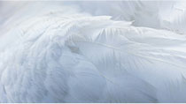 Ningbo Beyond Home Textile Group Co., Ltd.