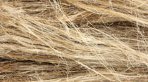 Ningbo Beyond Home Textile Group Co., Ltd.